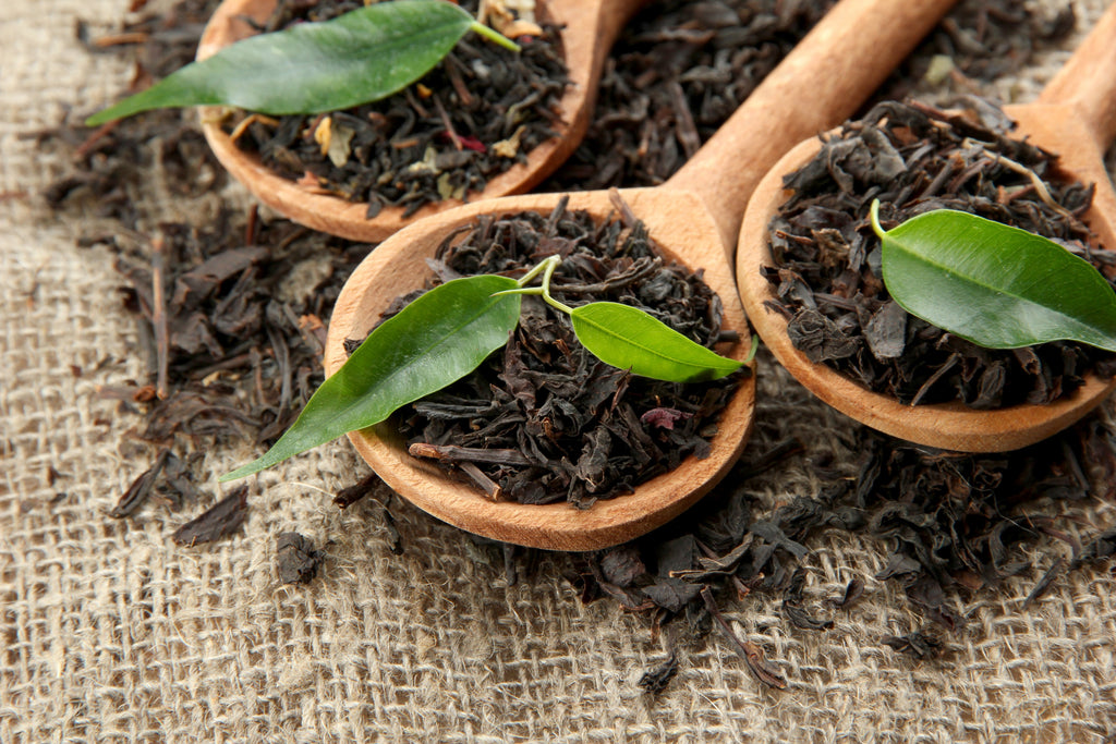 three wooden spoons filled with dried black tea and recently plucked tea leaves