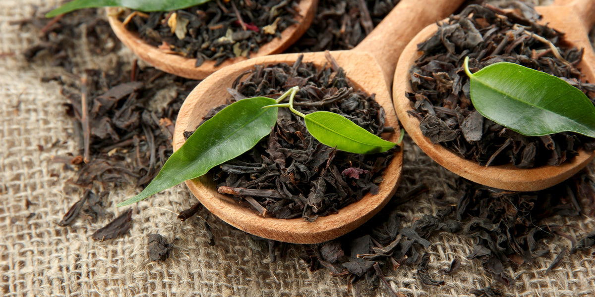 From Leaf to Cup: The Intricate Art of Making the 6 Types of Tea– ARETEA